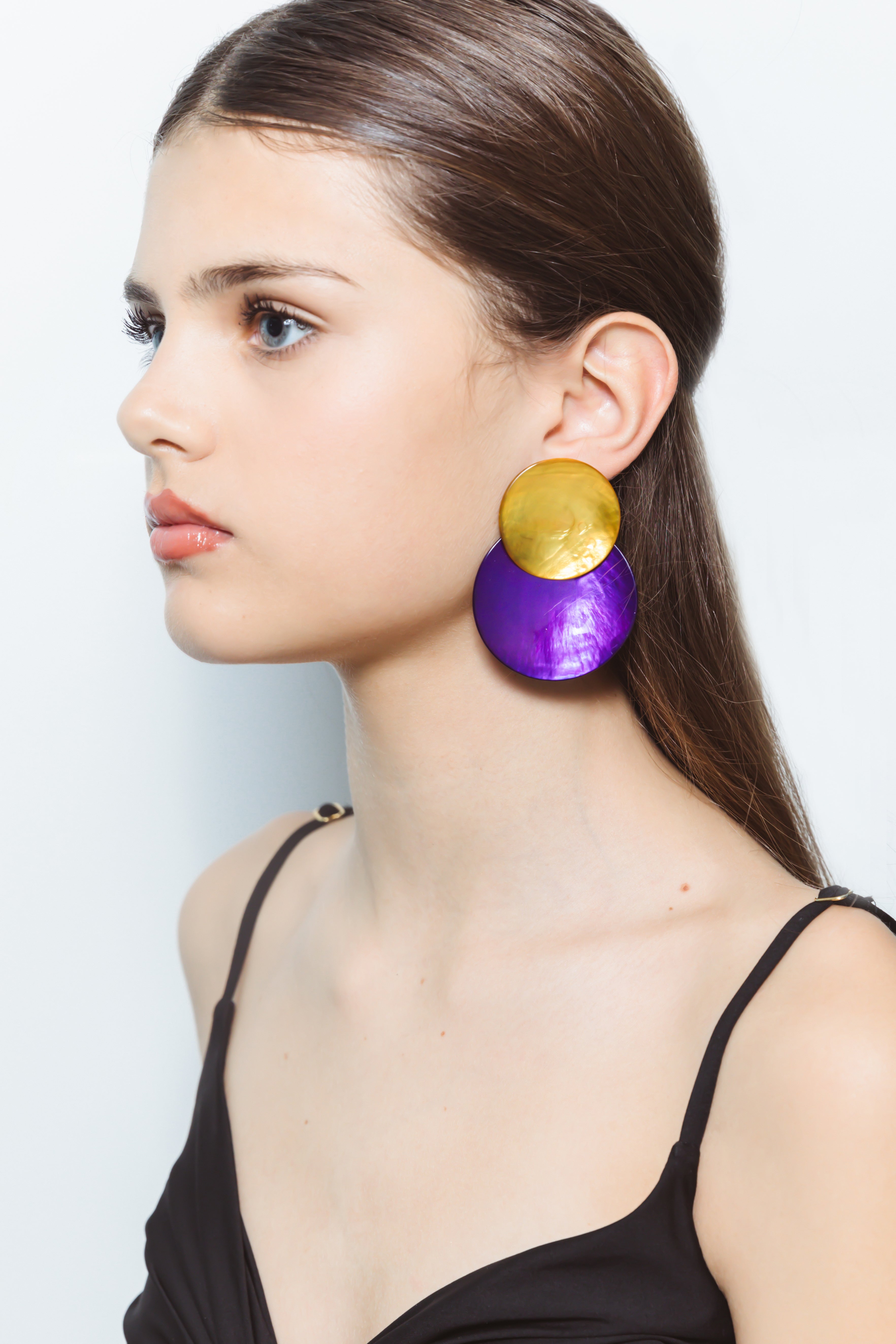Nautilus Purple & Yellow